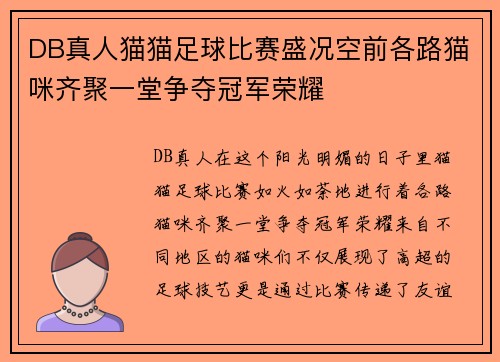 DB真人猫猫足球比赛盛况空前各路猫咪齐聚一堂争夺冠军荣耀